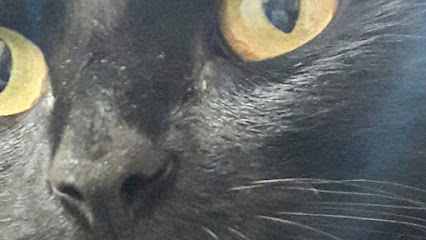 AF1QipNbN12BrK1CQotZTbVClNuUqHfyQpgbQ6rI34Srw426 h240 k no