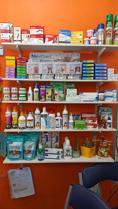 AF1QipNbOiaBktqgqv9irNxe4BoGlxbvCGrMrNw4BJzZw408 h725 k no