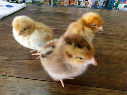 AF1QipNexE6qoFMjmjfmewYABhD4FYFp2xDlppomyQhTw408 h306 k no