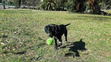 AF1QipNgJp9n0 53LM5tuasz2Nj Vd4H oZHFMIqtv ew426 h240 k no