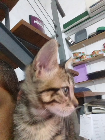 AF1QipNhvB7eSkqEWz5GzqPXj Mp2 DZ9bql54yzI8gHw408 h544 k no