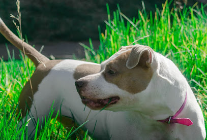 AF1QipNiv9ozdgy5RnQtyWdUaXfRXt6uXpmKNZ53Ct7Ww408 h276 k no