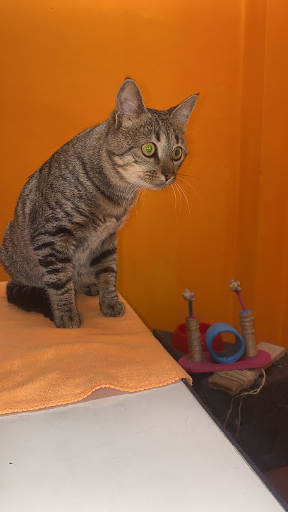 AF1QipNjqBlR9 jf SN8qKq1IJVADEObO tdsIoR0H1Ew408 h725 k no