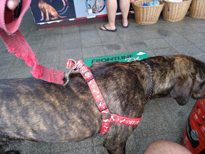 AF1QipNn4ITqV003ni9 FtuT2XgTbBUvJdd3I1CIQhTiw408 h306 k no