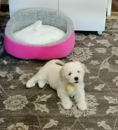 AF1QipNoO4JqAjjTf4Wpx4ui8KvYAutlh Km9PIueh14w408 h450 k no