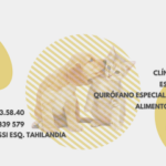 AF1QipNpVahxS8Sm S05BZAwQ7bh wThHhOlz3RErOrrw426 h240 k no