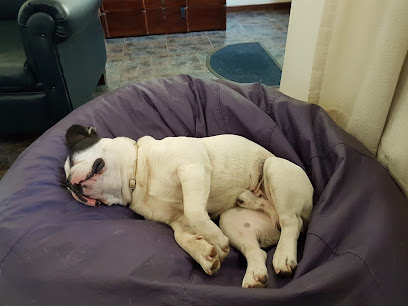 AF1QipNpmKgp3O2W5 IxwzQS0bmhySdKFkDXyMVhk6Atw408 h306 k no