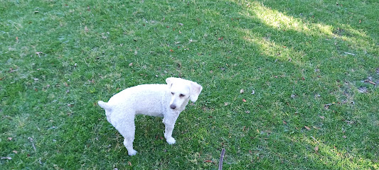 AF1QipNqadxst G0AxBk2bhvDqY2UqL D6Uj Dg2BgZ5w533 h240 k no