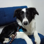 AF1QipNqnmGtp2q6N9CAU1YG9fF28r5xVH42PQ5VX0aew408 h304 k no