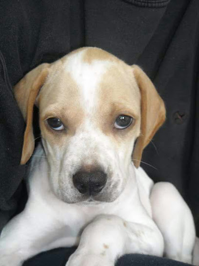 AF1QipNr2PRgHnVpFJy6iqg4usxsnLGqUWhn1Yovll28w408 h544 k no