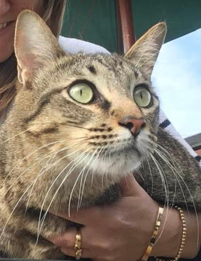 AF1QipNsPiNdiCtEzUcyYecrBcmTleLBJuuP06Y GDUBw408 h528 k no