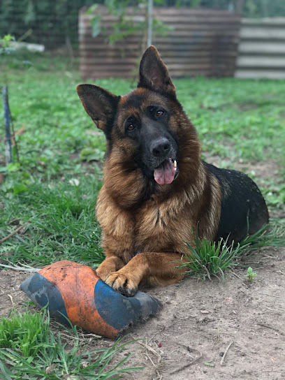 AF1QipNt8CjruSp4pVwIEi0TIumJyO3HyBIVFlTLdAWVw408 h544 k no