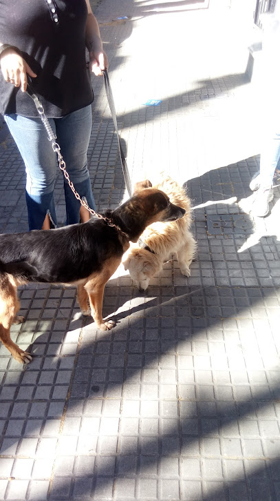 AF1QipNtlHIsVLy630J3yyU4GfBNbS8PBjIuZPAMqpUcw408 h726 k no