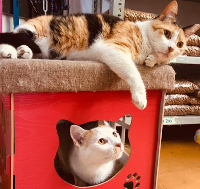 AF1QipNuFIM9N6IdwVmQZW6cgfG5NVqzMtpi5DMRZXAw408 h386 k no