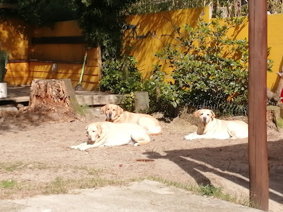 AF1QipNuavMOubCms07n0bU5ouYQZxPAXeshQ4HE4rGLw408 h306 k no