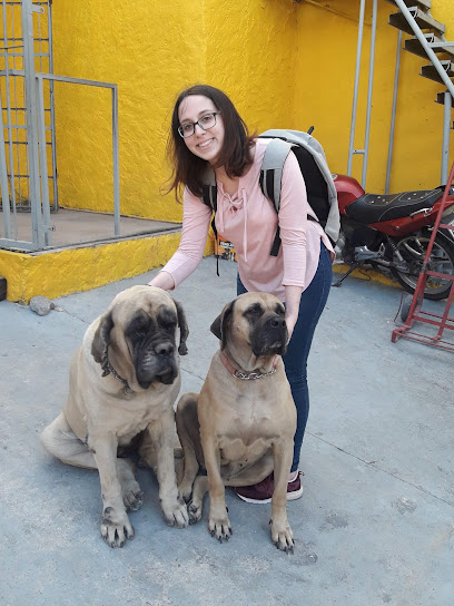 AF1QipNvfg9bG bahLvexOowQxjEBegWcdWndExoAX8vw408 h544 k no