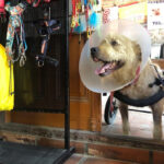 AF1QipNwDztNVeSJPNocotBLDMc8ljQ4vcRgmpXspvEw408 h544 k no