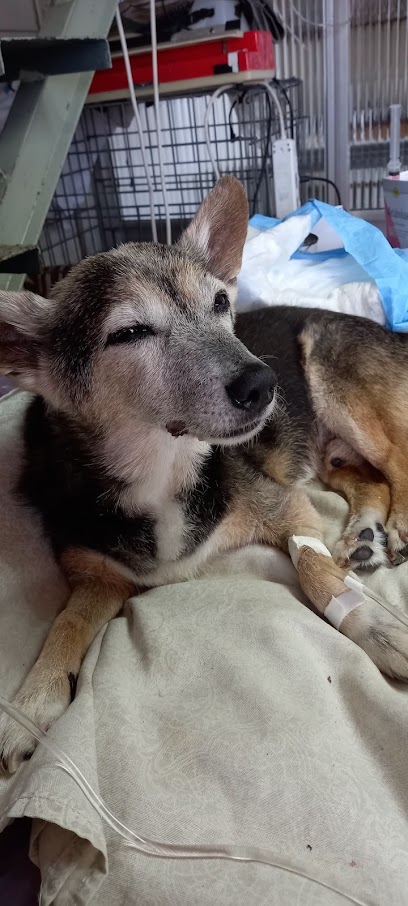 AF1QipNwSG6nIuX9P8e6dJoxAD6yAlq GME qzwv4icw408 h906 k no