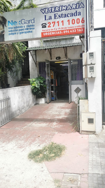 AF1QipNy1F3ic79tkgjG6NQ1pr7n89xYiyWOvxEv1Voww408 h725 k no