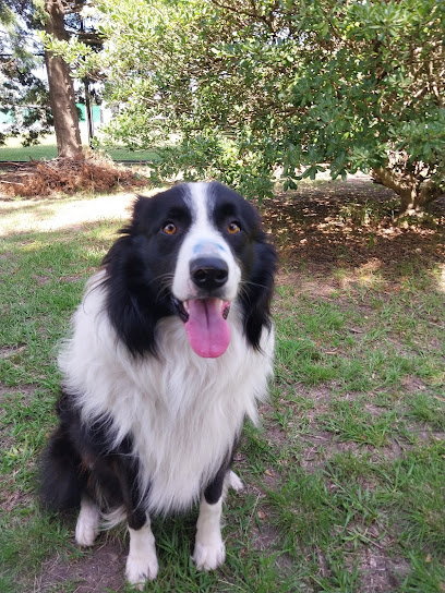 AF1QipNzLt7yB9KLEKR46JSslCbcc2Y9t2uzLkYSwSIw408 h544 k no