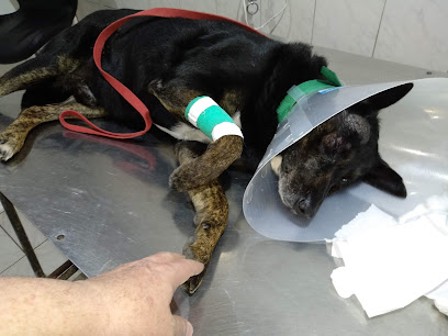 AF1QipNzdLvwrn p8GXJhflgwNHkMl6PlB4B1EyD0IIQw408 h306 k no