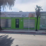 Pando Vet - Pando 7 AF1QipO Q75VvO ROtbbdMzftorw0ZCvMOvJfhnqniN w426 h240 k no