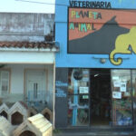 Veterinaria Planeta Animal - Paso de los Toros 4 AF1QipO2spdFgXrSiuNxZxFF6aT nmlyQUrzSlcR7 1sw426 h240 k no