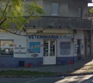 Veterinaria Kninos - Montevideo
