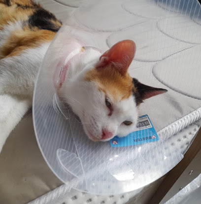 AF1QipO755chPy3 e0mclD8SR8n5nQ26kReVBSeDtjOWw408 h415 k no