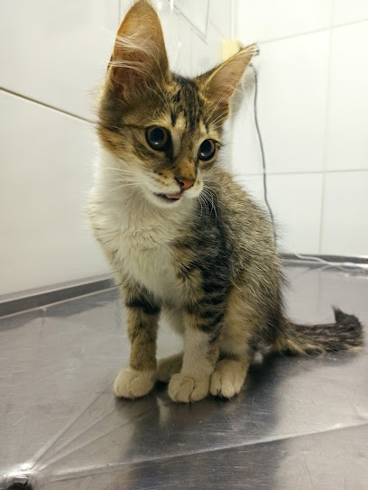 AF1QipO77sOBtN0J3YdIXqWLOypxXhUjXR9UdPcseAy8w408 h543 k no