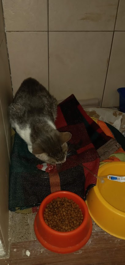 AF1QipO7dH4sE935hDluBbRQv2DsR0EQyaE1O5EnUXmTw408 h862 k no