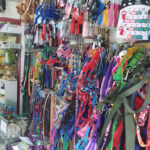 AF1QipOAO RkzT7zD thKyaUZI3pCV9zRQ9jdUMDFETlw408 h725 k no