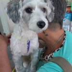 AF1QipOAY zZuwN cUlzIfvAbrsfAi37qhkFLAeODTPww408 h544 k no