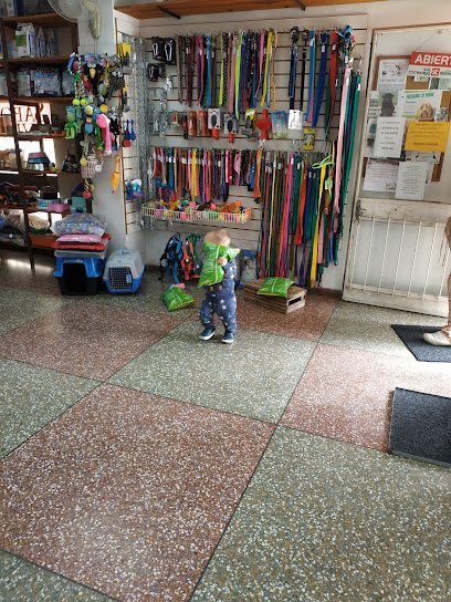 AF1QipOAaWKKdiXLoA 6D1yjcTTJWpMeli2BppuuDhr4w408 h544 k no