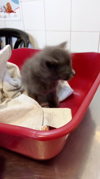 AF1QipOAteD8aluwg29tlXMEpluD56Q0uk7kb7vdVViJw408 h725 k no