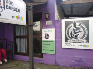 DOG BARBER - Montevideo