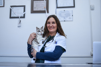 AF1QipOErB4ZZquBVGzCxtizPsTUJ5 fQttVMD2GZaSSw408 h272 k no