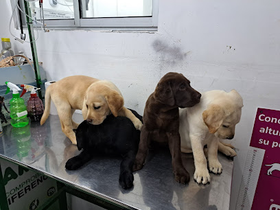 AF1QipOFKO3LR6sy8Gupvp51GMkteXUemTWdzXPc9rONw408 h306 k no