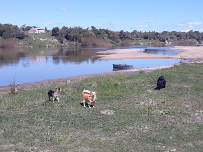 AF1QipOKOg1oxb blw5kgy6N81BMz2z 0BkV WcsJdBYw408 h306 k no