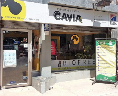 AF1QipOKkdpwX76I3HJy45yhD2XEDcBkv8z0u7ekddNIw408 h331 k no