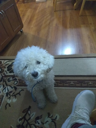 AF1QipOMqWxVOCdqpZnC6DaEiPhxXsEGxQUg7CvRpKVBw408 h544 k no