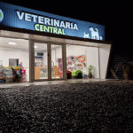 AF1QipONPAxVVku9KQ4pzBNBj7vNyFT1H3M0S0Jogbw5w426 h240 k no