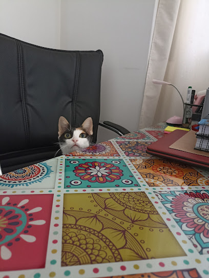 AF1QipOPmaD4MlcVlb8w nZgtzPyJJgHttmedHxdthRcw408 h543 k no