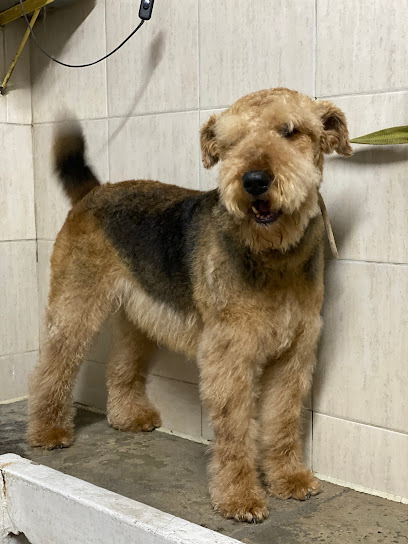 AF1QipORcGVnSwYnP57DYm9Hbk2KrwSEwmuEkDgCPy4 w408 h544 k no