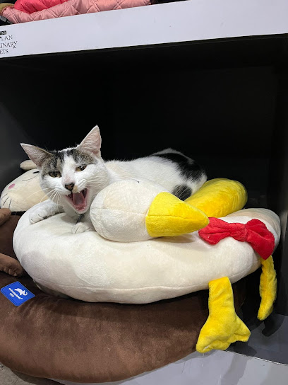 AF1QipORsXATxMAGCE67NibgY7VfSyFbq1 pSyhyd3hMw408 h544 k no