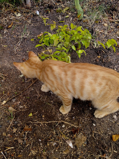 AF1QipOTM6hfE01uPpW0IfKXjP20dPxlTN7QqsC qAuUw408 h544 k no