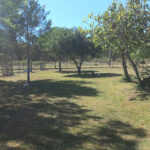 AF1QipOUqtTVeT8z YE7nU5BPJz 6afLfW9kBMnMZiq0w426 h240 k no