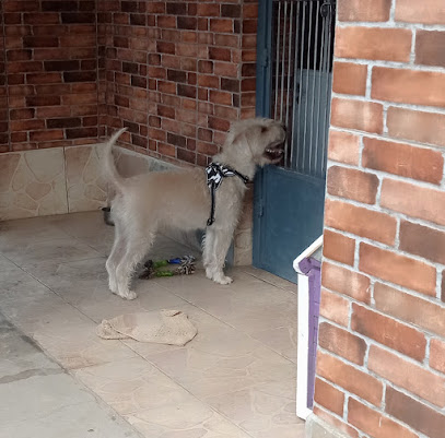 AF1QipOVCpPay88jOJJPDLOfh6vl1R11ujEqTY2zD9kDw408 h401 k no