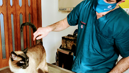 AF1QipOVSpOdJCPqavlaomqI dZ4ks5LgTDwGlXBKvOdw426 h240 k no