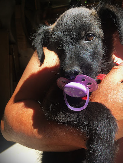 AF1QipOWsI DXaR IVfDdz9HiIm4uNq2LV3YHq4sCo8jw408 h538 k no